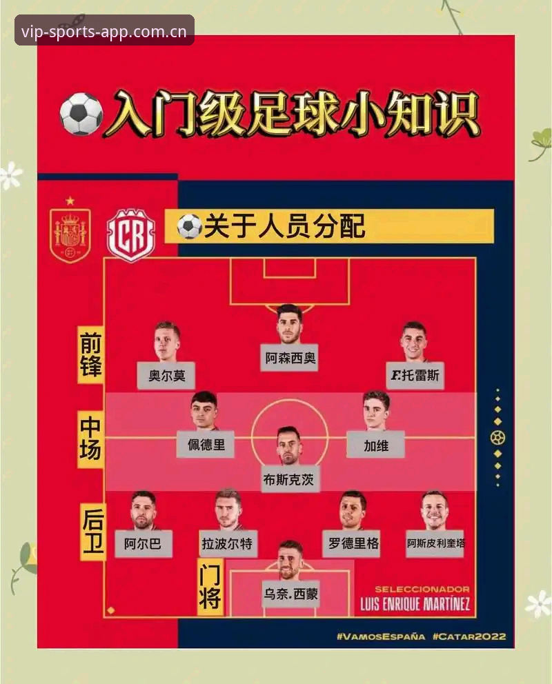 世界杯观赛攻略：从约旦球迷签证困境看08VIP体育平台的赛事解析