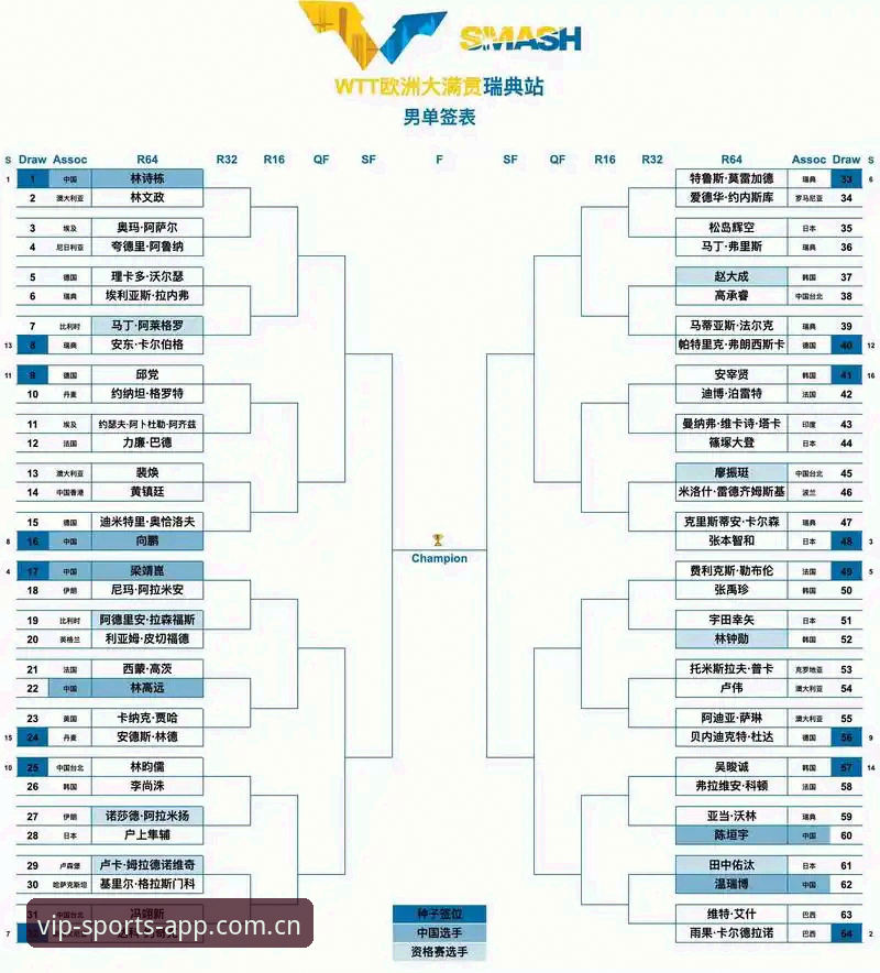 都灵德比观赛指南：如何在08VIP体育平台沉浸式体验意甲焦点战